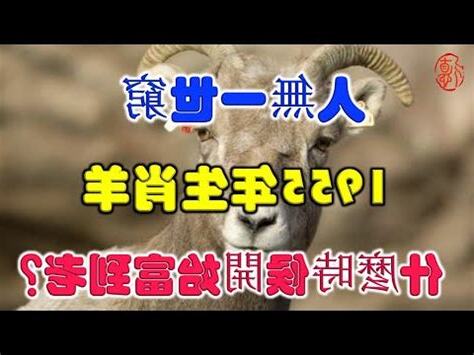 1955 屬相